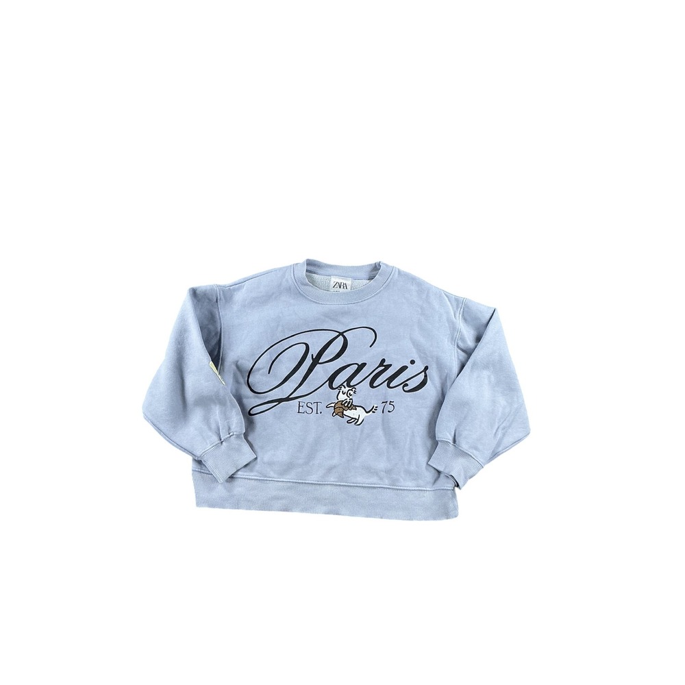Zara Kids Paris Est 75 Graphic Sweatshirt Light Blue Size 9-10 Chien d'Artiste